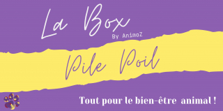 La Box Pile Poil