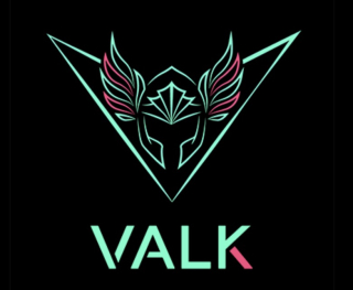 Valk Gaming